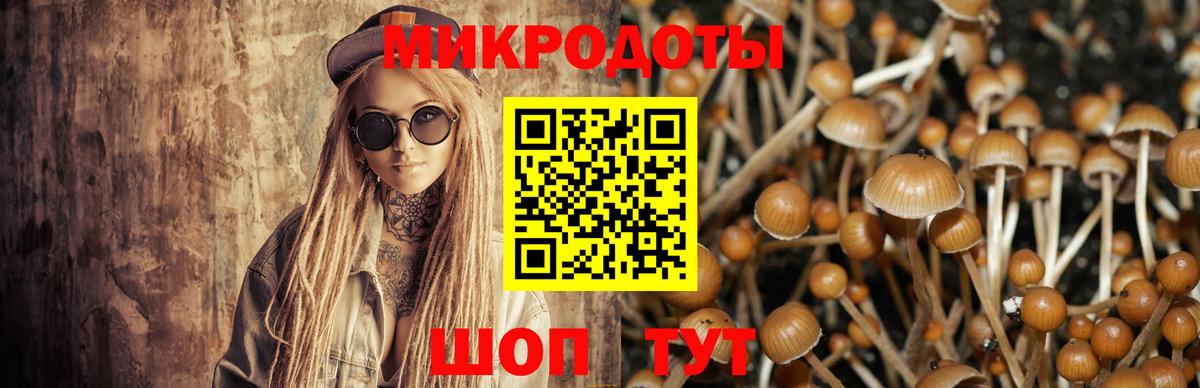 Фрязино  Галлюциногенные грибы Magic Shrooms  Вход с VPN 
