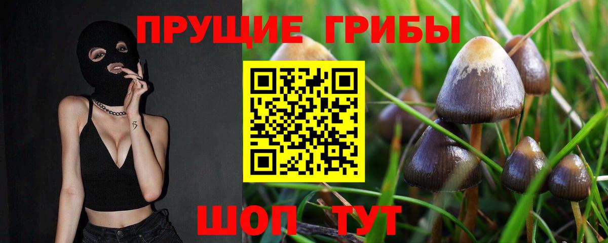 Галлюциногенные грибы прущие грибы Фрязино